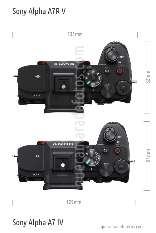 Sony Alpha A7R V vs Sony Alpha A7 IV