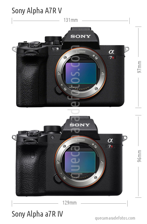 Sony Alpha A7R V vs Sony Alpha a7R IV