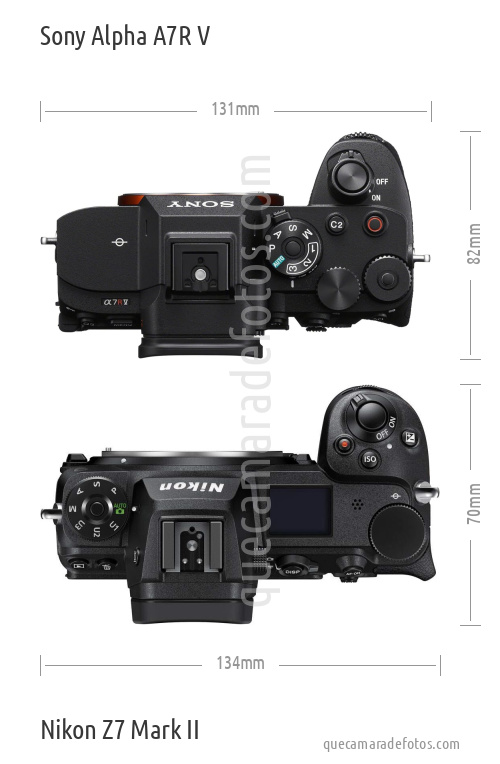 Sony Alpha A7R V vs Nikon Z7 Mark II
