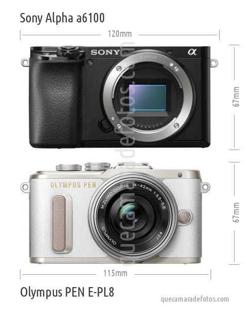 Sony Alpha a6100 vs Olympus PEN E-PL8