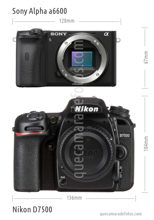 Sony Alpha a6600 vs Nikon D7500