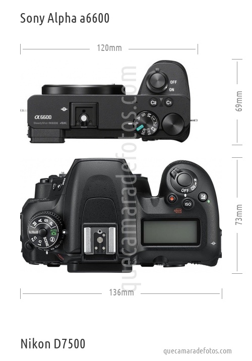 Sony Alpha a6600 vs Nikon D7500