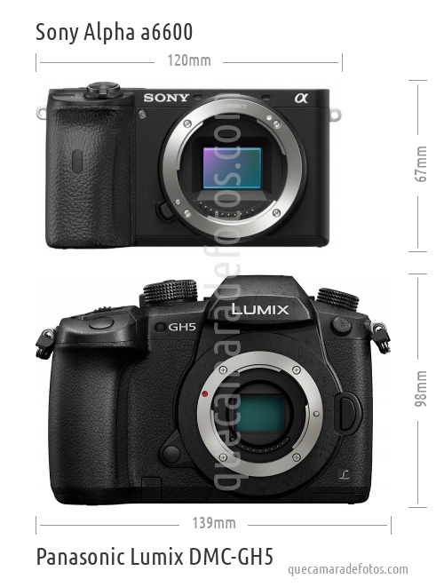 Sony Alpha a6600 vs Panasonic Lumix DMC-GH5