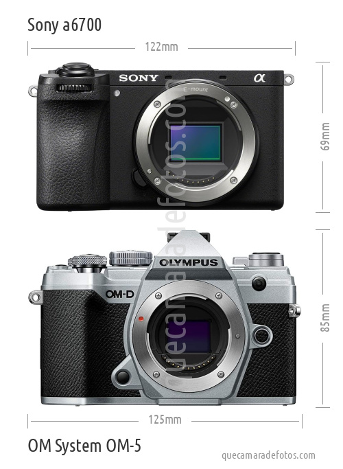 Sony a6700 vs OM System OM-5