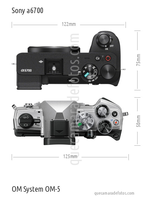 Sony a6700 vs OM System OM-5