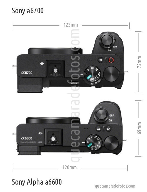 Sony a6700 vs Sony Alpha a6600