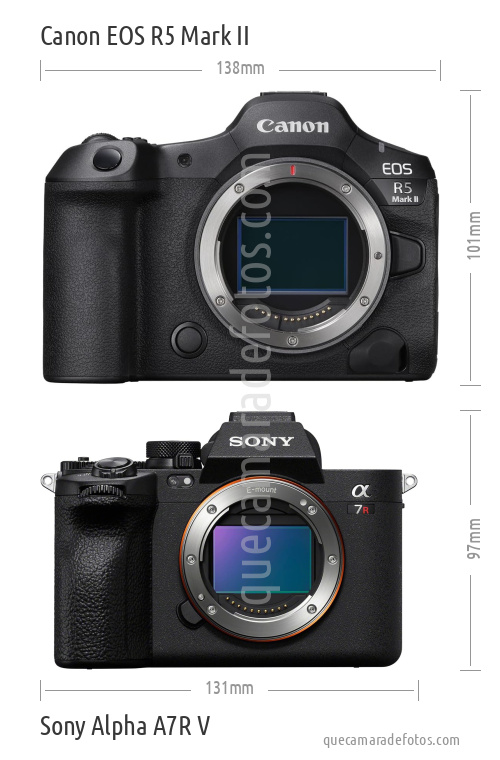Canon EOS R5 Mark II vs Sony Alpha A7R V