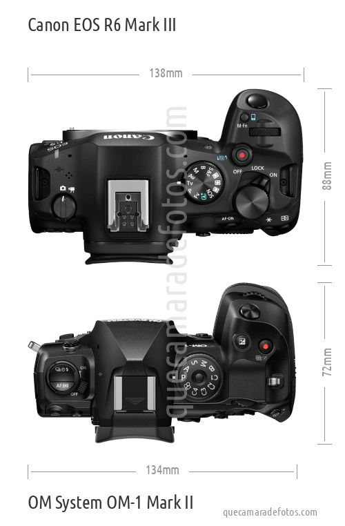 Canon EOS R6 Mark III vs OM System OM-1 Mark II