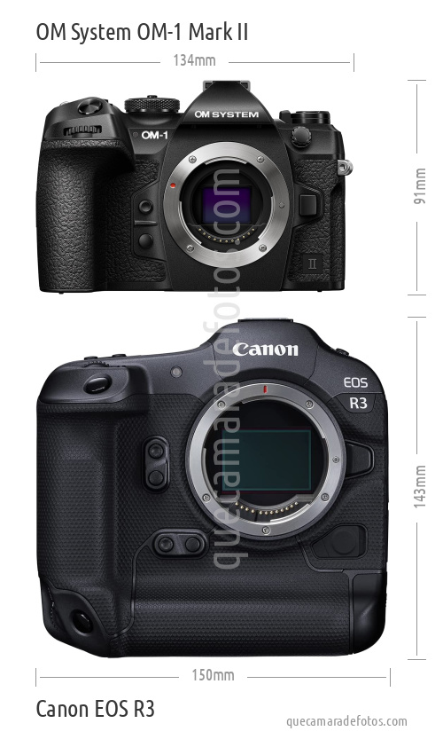 OM System OM-1 Mark II vs Canon EOS R3