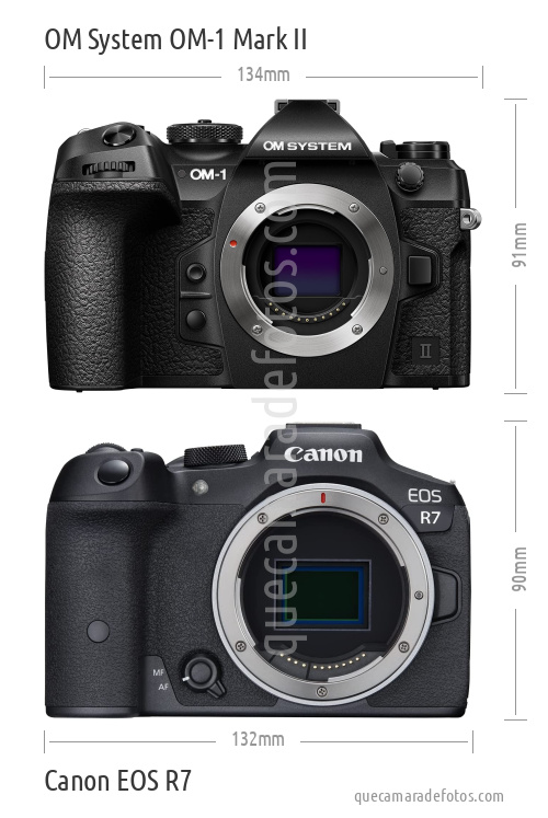 OM System OM-1 Mark II vs Canon EOS R7