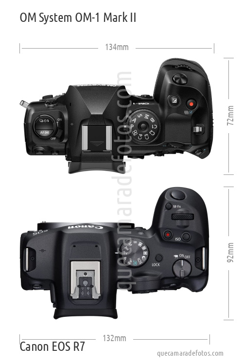 OM System OM-1 Mark II vs Canon EOS R7