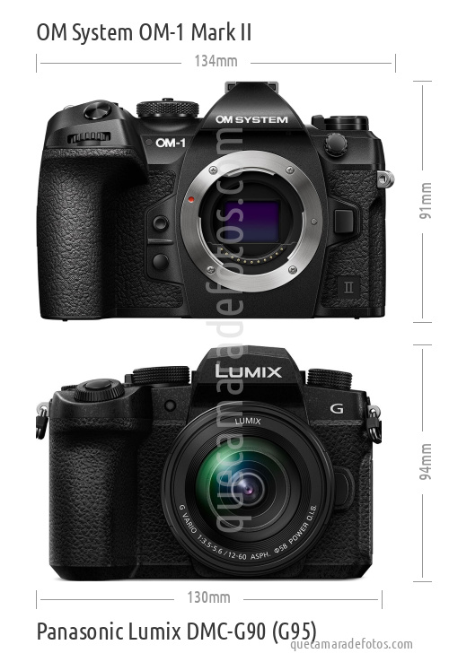 OM System OM-1 Mark II vs Panasonic Lumix DMC-G90 (G95)