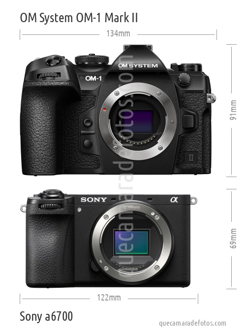 OM System OM-1 Mark II vs Sony a6700