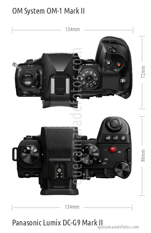 OM System OM-1 Mark II vs Panasonic Lumix DC-G9 Mark II