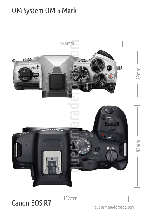 OM System OM-5 Mark II vs Canon EOS R7