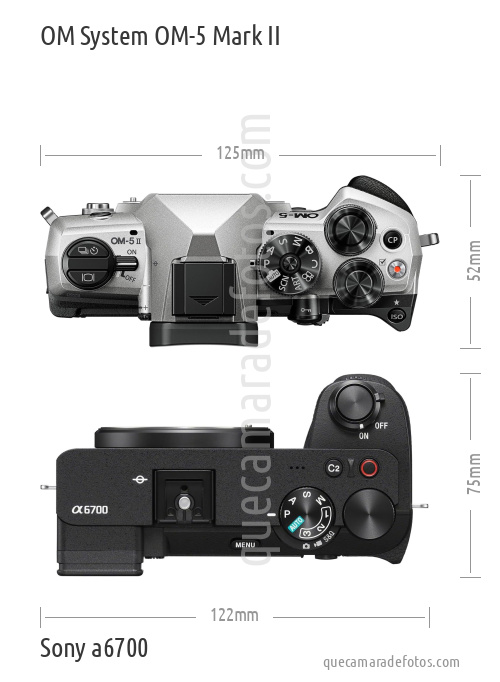 OM System OM-5 Mark II vs Sony a6700