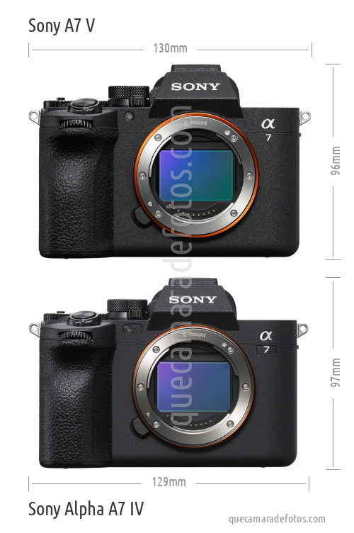 Sony A7 V vs Sony Alpha A7 IV