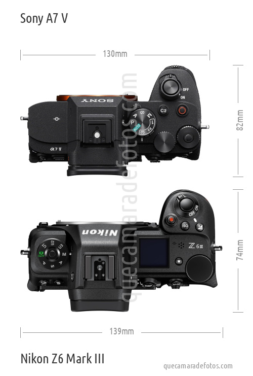Sony A7 V vs Nikon Z6 Mark III