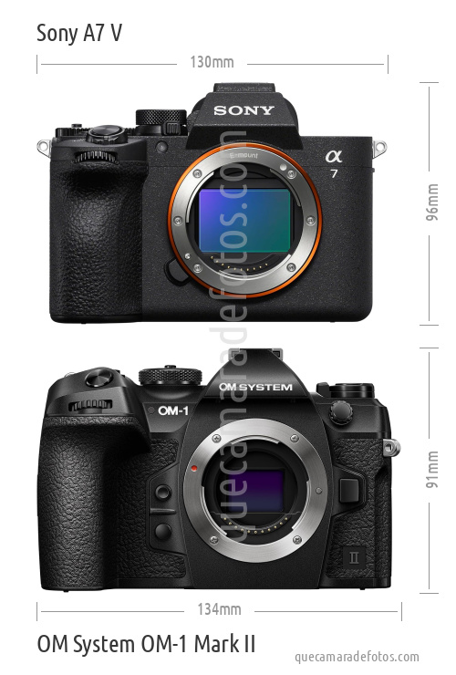 Sony A7 V vs OM System OM-1 Mark II